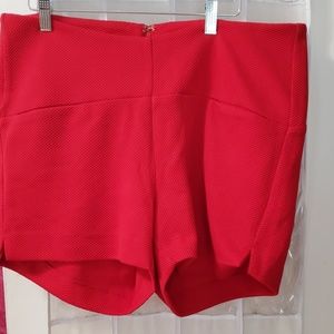 Torrid shorts, size 14